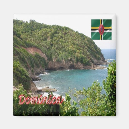 zDM009 DOMINICA，パノラマ，アメリカ，冷蔵庫 マグネット (正面)