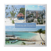 zDO005ドミニカ共和国，モザイク，アメリカ， タイル (正面)