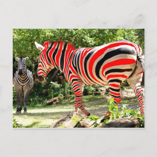 Zebhuhか。 JLHによって ポストカード