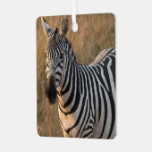 Zebraパーソナライズ名写真クリスマス メタルオーナメント (正面左)