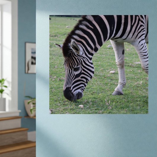 Zebra頭部の白黒のストライプの写真 ポスター