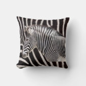 Zebra クッション (正面)