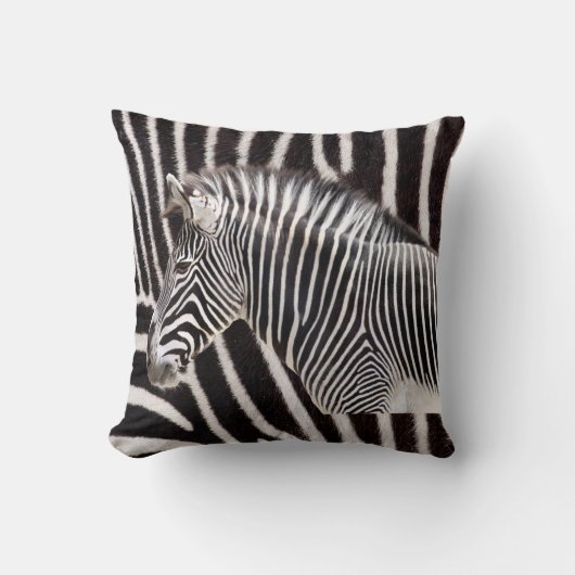 Zebra クッション (正面)
