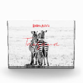 zebra フォトブロック (正面)
