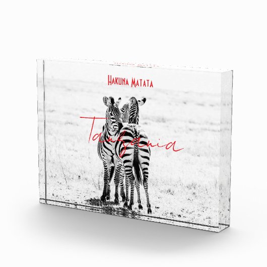 zebra フォトブロック (右)