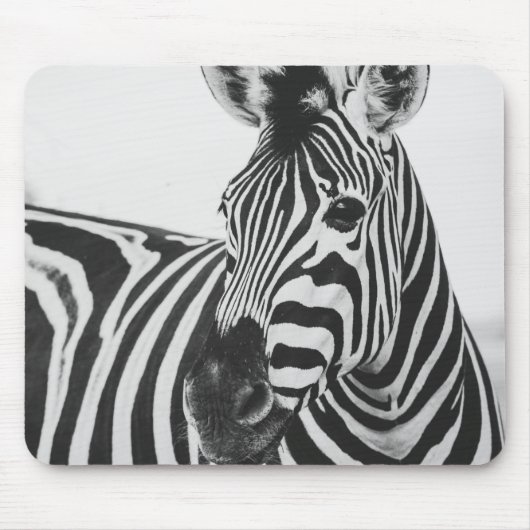 Zebra マウスパッド (正面)