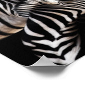 Zebra、明救明の野生生物の自然 ポスター (角)