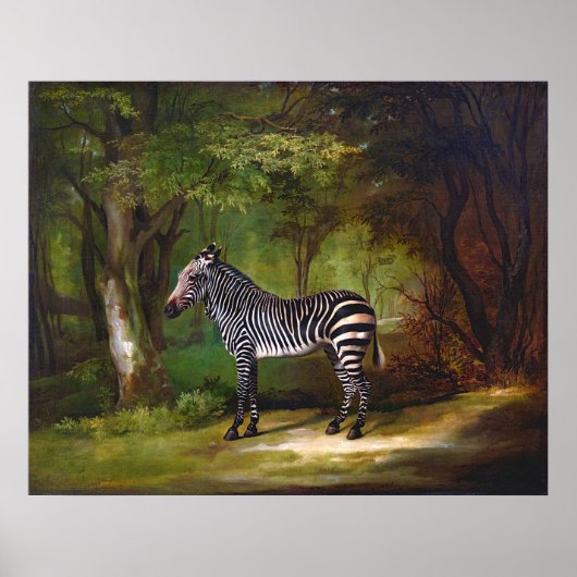 Zebra (1763) painting by George Stubbs ポスター (正面)