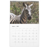 zebra 2011ページ独身のカレンダー カレンダー (3月 2027)