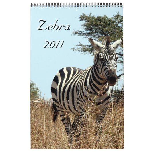 zebra 2011ページ独身のカレンダー カレンダー (カバー)