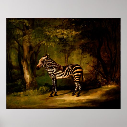 Zebra by George Stubbs (1763) ポスター (正面)