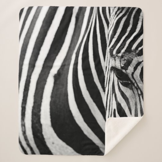 ZEBRA CLOSE-UP VIEW シェルパブランケット (正面)