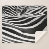 ZEBRA CLOSE-UP VIEW シェルパブランケット (正面(横))