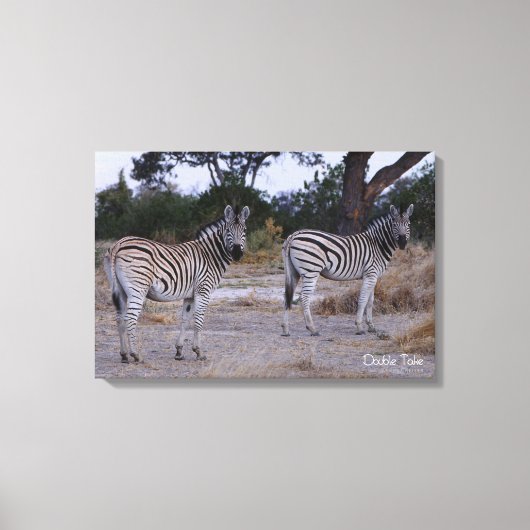 Zebra Double撮影 キャンバスプリント (正面)