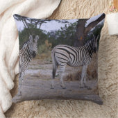 Zebra Double撮影 クッション (ブランケット)