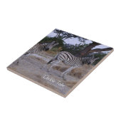 Zebra Double撮影 タイル (側面)