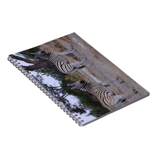 Zebra Double撮影 ノートブック (右側)