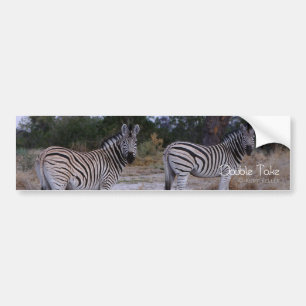 Zebra Double撮影 バンパーステッカー