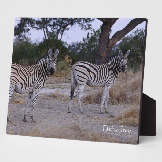 Zebra Double撮影 フォトプラーク (側面)