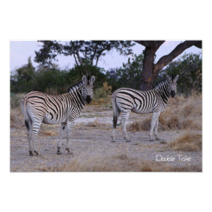 Zebra Double撮影 フォトプリント
