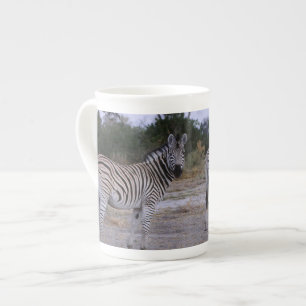Zebra Double撮影 ボーンチャイナマグカップ