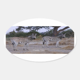 Zebra Double撮影 楕円形シール