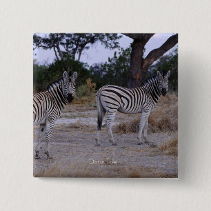 Zebra Double撮影 缶バッジ