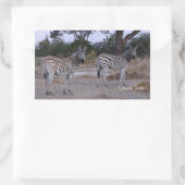 Zebra Double撮影 長方形シール (バッグ)