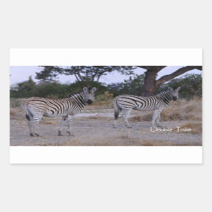 Zebra Double撮影 長方形シール