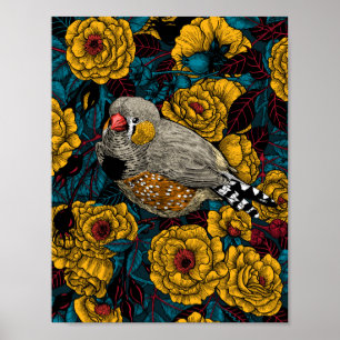 Zebra finch and rose bush ポスター