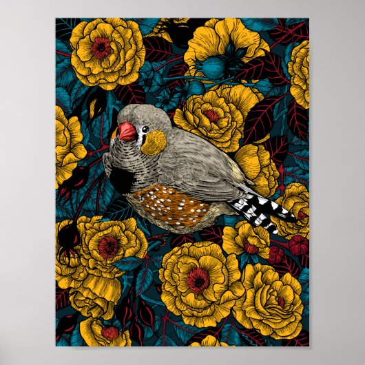 Zebra finch and rose bush ポスター (正面)