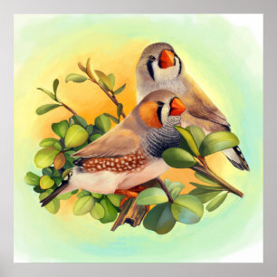 Zebra finch realistic painting ポスター