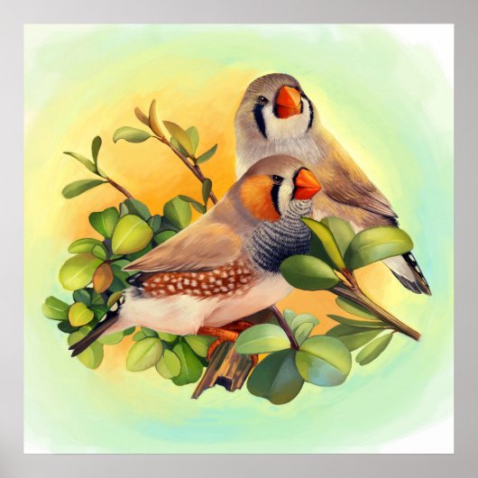Zebra finch realistic painting ポスター (正面)