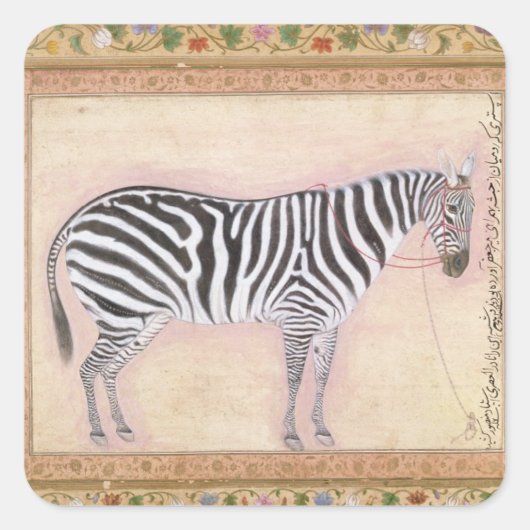 Zebra, from the 'Minto Album', 1621 (gouache on pa スクエアシール (正面)