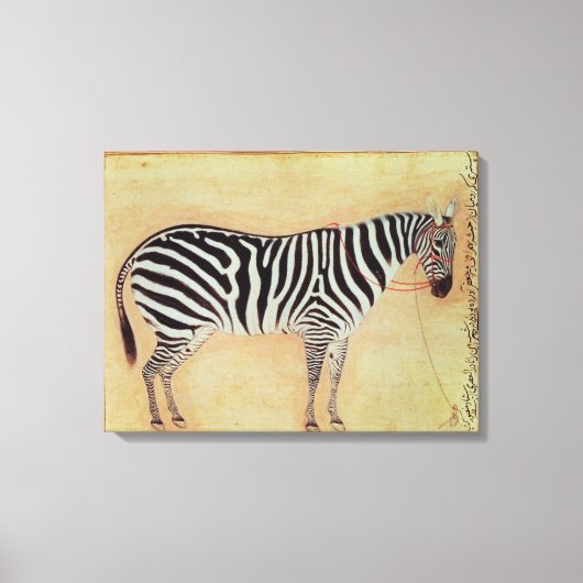 Zebra, from the "Minto Album", Mughal, 1621, キャンバスプリント (正面)