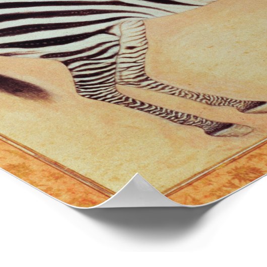 Zebra, from the "Minto Album", Mughal, 1621, ポスター (角)