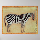 Zebra, from the "Minto Album", Mughal, 1621, ポスター (正面)