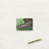 Zebra Longwingかわいらし Butterfly Post it notes ポストイット (デスク上)