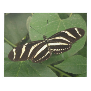 Zebra Longwing Butterflyメモ帳 ノートパッド