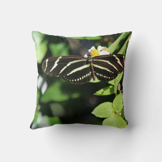 Zebra Longwing Butterfly クッション (裏面)