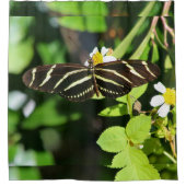 Zebra Longwing Butterfly シャワーカーテン (正面)