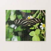 Zebra Longwing Butterfly ジグソーパズル (横)
