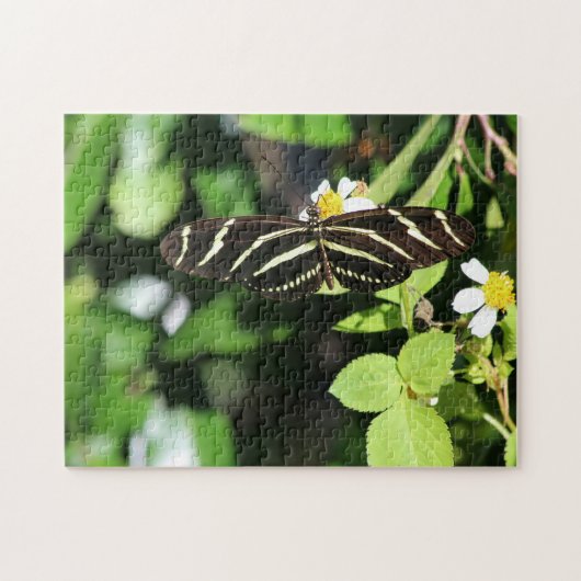 Zebra Longwing Butterfly ジグソーパズル (横)