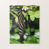 Zebra Longwing Butterfly ジグソーパズル (縦)