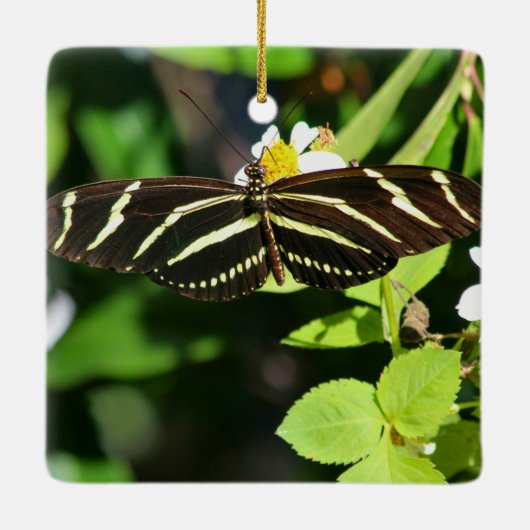 Zebra Longwing Butterfly セラミックオーナメント (裏面)