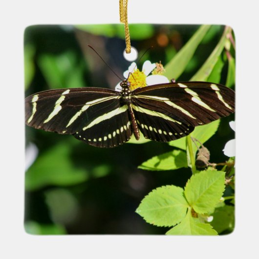 Zebra Longwing Butterfly セラミックオーナメント (正面)