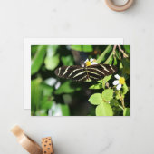 Zebra Longwing Butterfly ノートカード (正面/裏面インサイチュ)