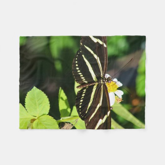 Zebra Longwing Butterfly フリースブランケット (正面(横))