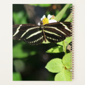 Zebra Longwing Butterfly プランナー手帳 (裏面)