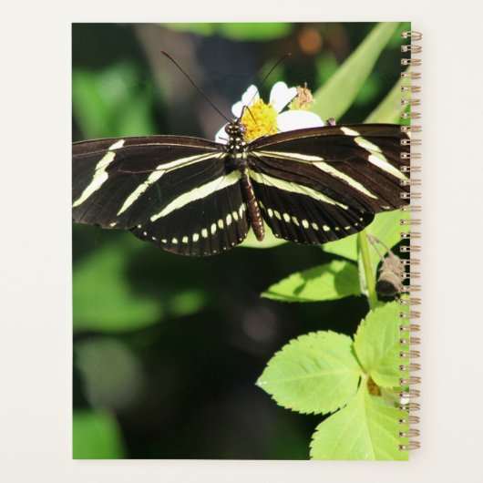Zebra Longwing Butterfly プランナー手帳 (裏面)
